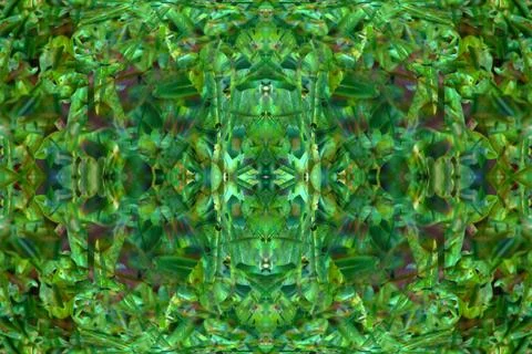 Floral symmetrical patterns Foto stock