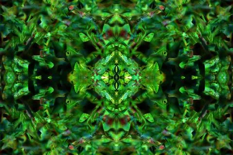 Floral symmetrical patterns Foto stock