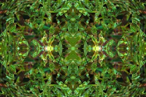 Floral symmetrical patterns Foto stock