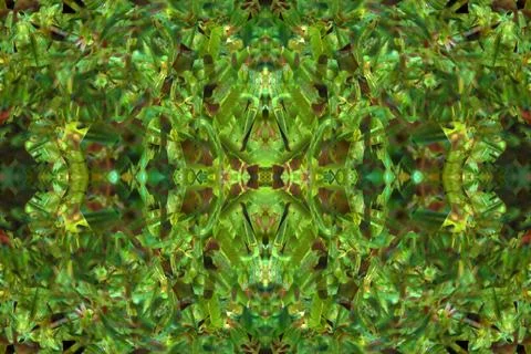 Floral symmetrical patterns Foto stock