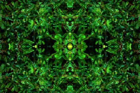 Floral symmetrical patterns Stock Photos