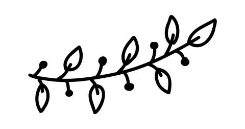 Floral text dividers. Tree branches with leaves and flowers. Vector hand drawn Stock Illustration