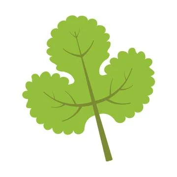 Floral Trifoliate Three Leaves Vector Illustration Graphic Stock Illustration