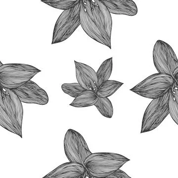 Floral vector background black and white. Linear lily flower line seamless Stock Illustration