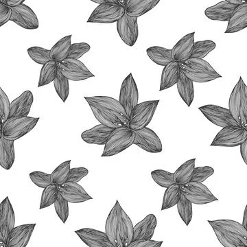 Floral vector background black and white. Linear lily flower line seamless イラスト素材