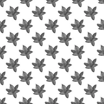 Floral vector background black and white. Linear lily flower line seamless Illustrazione stock