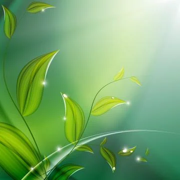 Floral vector background. eps10 Stock Illustration