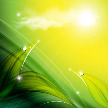 Floral vector  background . eps10 Stock Illustration