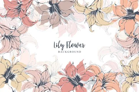 Floral vector background with hand drawn colorful lilies on white background. Illustrazione stock