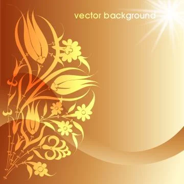 Floral vector background Stock Illustration