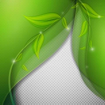 Floral vector background Stock Illustration