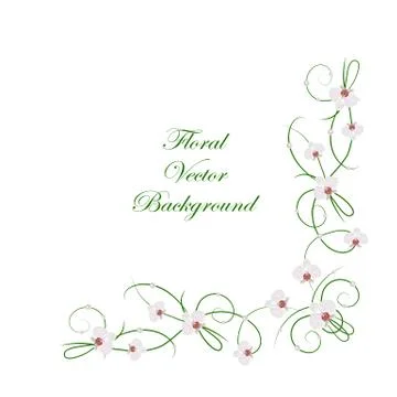 Floral vector background イラスト素材