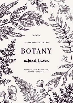 Floral vector background. Stock Illustration