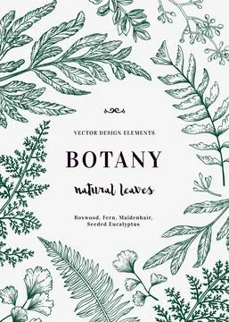 Floral vector background. Stock Illustration