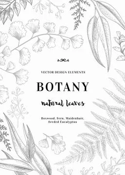 Floral vector background. Stock Illustration