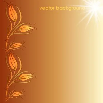 Floral vector background two Stock Illustration