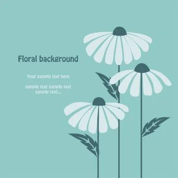 Floral vector. Chamomile background Stock Illustration