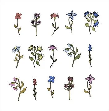 Floral vector doodle design elements. Hand drawn decorative leaves and wreaths イラスト素材