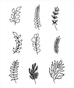 Floral vector doodle design elements. Hand drawn decorative leaves and wreaths 库存插图