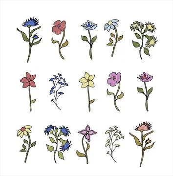 Floral vector doodle design elements. Hand drawn decorative leaves and wreaths Stock Illustration