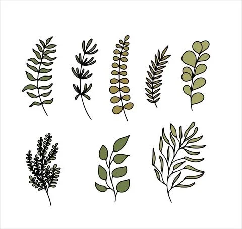 Floral vector doodle design elements. Hand drawn decorative leaves and wreaths イラスト素材