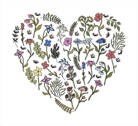 Floral vector doodle design elements. Hand drawn decorative leaves and wreaths Stockillustratie