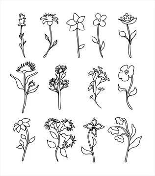 Floral vector doodle design elements. Hand drawn decorative leaves and wreaths 库存插图