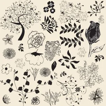 Floral vector elements Stockillustratie