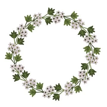 Floral vector frame Stock Illustration