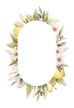 Floral vector frame of lemon and olive. Watercolor illustration isolated on Stock-Illustration