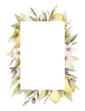 Floral vector frame of lemon and olive. Watercolor illustration isolated on Stock Illustration