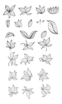 Floral vector monochromatic outlined elements for graphic design Stock Illustration