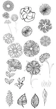 Floral vector monochromatic outlined elements for graphic design Stock Illustration