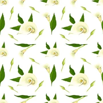 Floral vector pattern with callas. Stock Illustration