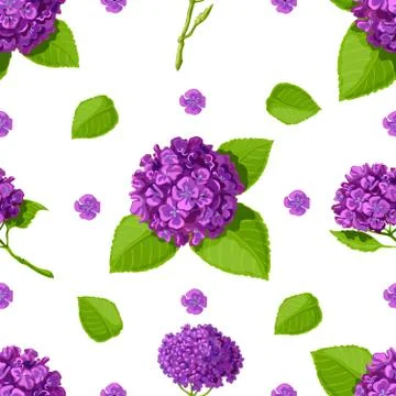 Floral vector with pattern hydrangeas. Stock Illustration