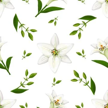Floral vector pattern with lilies. Stock Illustration