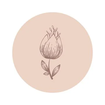 Floral vector round icon with abstract hand drawn flower isolated on white ba Stock Illustration