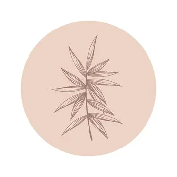 Floral vector round icon with abstract hand drawn branch isolated on white ba Stock Illustration