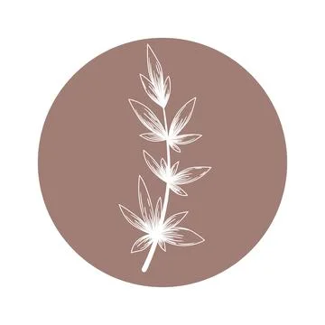 Floral vector round icon with abstract hand drawn branch isolated on white ba Stock Illustration