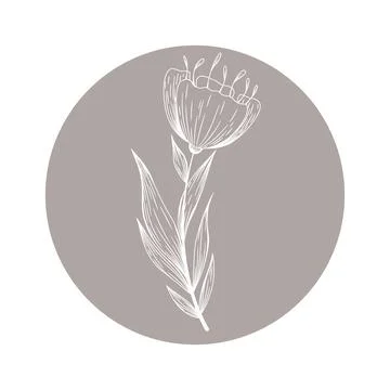 Floral vector round icon with abstract hand drawn flower isolated on white ba Stock Illustration