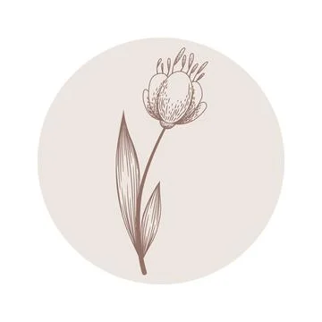 Floral vector round icon with hand drawn abstract flower isolated on white ba Stock Illustration