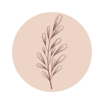 Floral vector round icon with hand drawn abstract branch isolated on white ba Stock Illustration