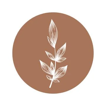Floral vector round icon with hand drawn abstract branch isolated on white ba Stock Illustration