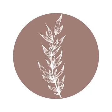 Floral vector round icon with hand drawn abstract branch isolated on white ba Stock Illustration