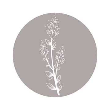 Floral vector round icon with hand drawn abstract branch isolated on white ba Stock Illustration