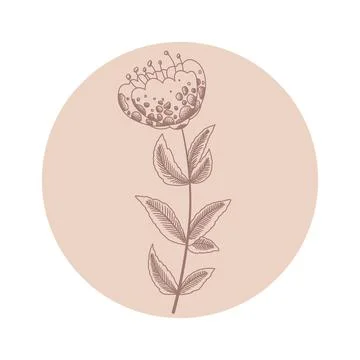 Floral vector round icon with hand drawn abstract flower isolated on white ba Stock Illustration