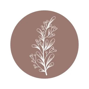 Floral vector round icon with hand drawn abstract branch and berries isolated Stock Illustration