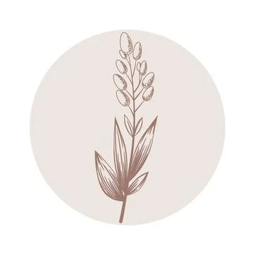 Floral vector round icon with hand drawn abstract branch isolated on white ba Stock Illustration