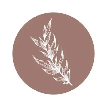 Floral vector round icon with hand drawn abstract branch isolated on white ba Stock Illustration