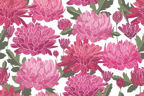Floral vector seamless pattern. Delicate pink autumn chrysanthemums. Stock Illustration